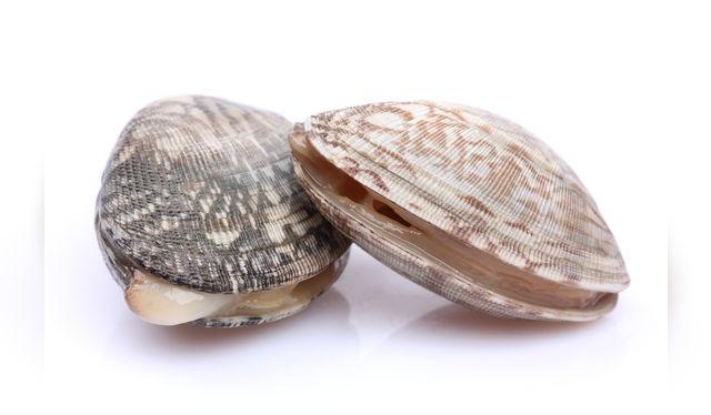 Los mariscos con concha es mejor si están vivos, o reaccionan al tocarlos. Los mariscos con concha es mejor si están vivos, o reaccionan al tocarlos.