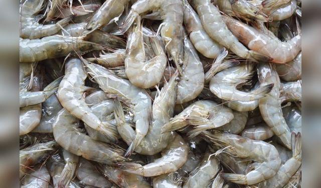 Los langostinos frescos tienen un color gris, pero cuando están tirando al naranja, ya están pasados. Los langostinos frescos tienen un color gris, pero cuando están tirando al naranja, ya están pasados.