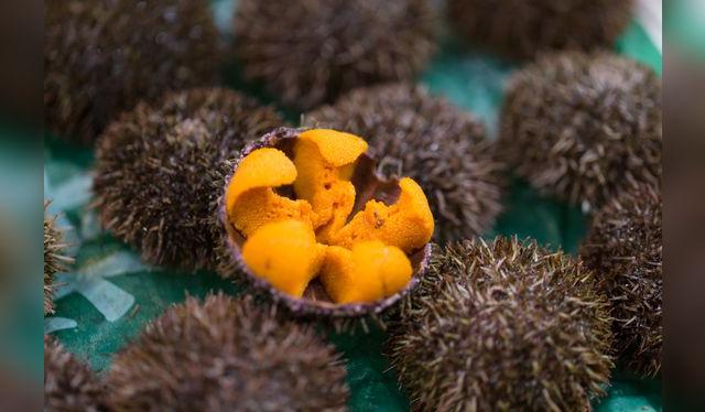 el olor y sabor del erizo con clave: no debe oler más que mar y debe saber dulce. el olor y sabor del erizo con clave: no debe oler más que mar y debe saber dulce.