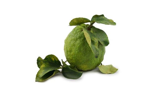 Esta variedad crece en la región amazónica. En su cáscara hay abundante aceites esenciales. Esta variedad crece en la región amazónica. En su cáscara hay abundante aceites esenciales.