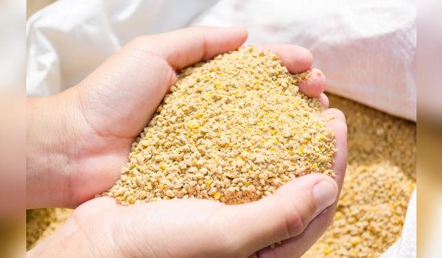 La alimentación es en buena parte responsable del color de la piel del pollo.    