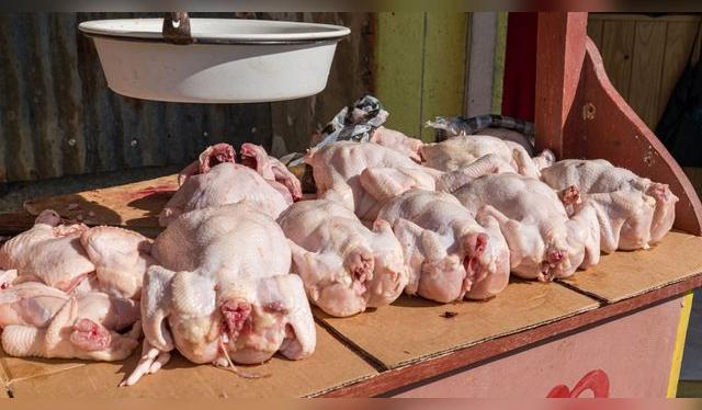 Ten cuidado dónde compras el pollo. Deben tener una sistema de refrigeración y no estar a la intemperie.   