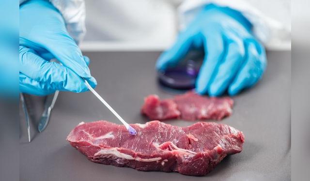 La carne se puede contaminar en los lugares de beneficio o en su manipulación en cocina.    