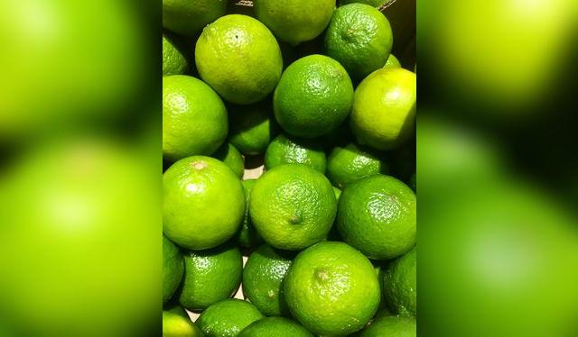 El limón sutil no es uniforme: también hay uno de piel rugosa, que es medio oval.    