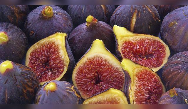 Cada uno de eso filamentos es un fruto que antes fue flor, dentro del higo.   