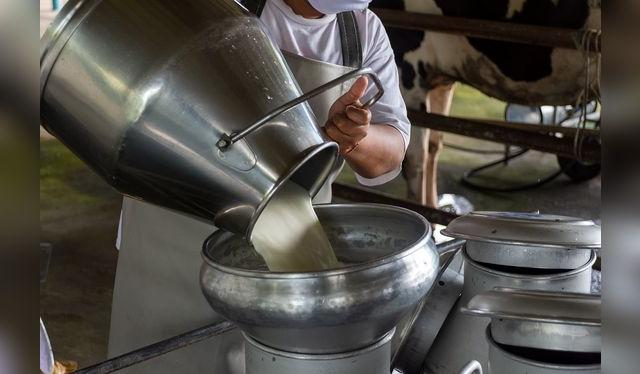 buenazo.pe buenazo.pe