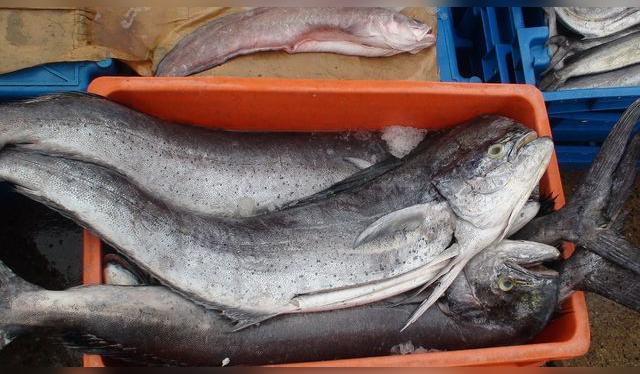 El perico es una muy buena opción: es sabroso, rendidor y accesible. El perico es una muy buena opción: es sabroso, rendidor y accesible.