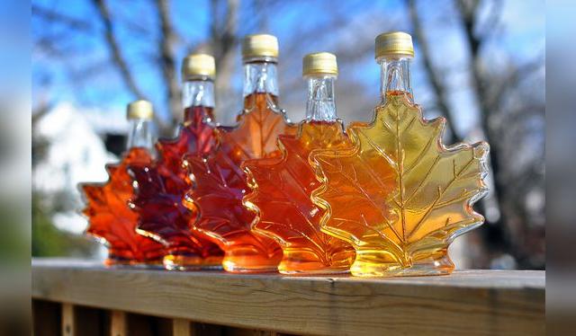 La miel de maple se produce con este árbol, símbolo de Canadá. El tono de color depende del momento en que se extrayó su savia. La miel de maple se produce con este árbol, símbolo de Canadá. El tono de color depende del momento en que se extrayó su savia.