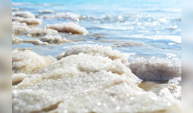 El 50% de la sal del mundo proviene de fuentes marinas.    