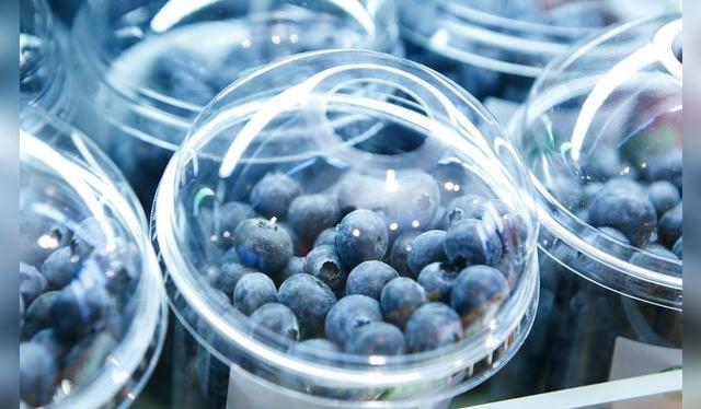 Si se mantienen secos, puedes conservarlos en estos recipientes, o pasarlos a otros con papel toalla en la base.   