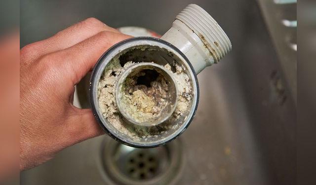 Limpia cada cierto tiempo la trampa porque siempre se acumulan restos de comida.    