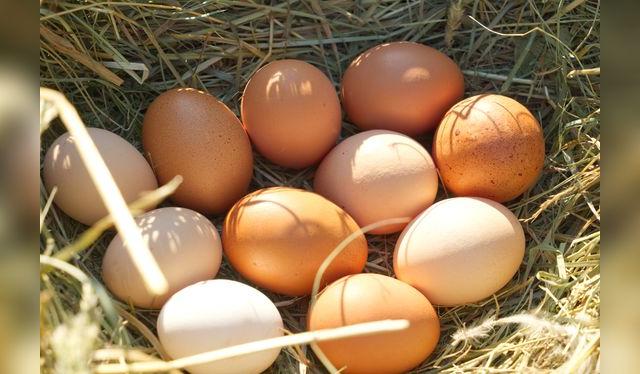 Los huevos de corral no son homogéneos; algunos llegan sucios, pero son un excelente producto. Los huevos de corral no son homogéneos; algunos llegan sucios, pero son un excelente producto.