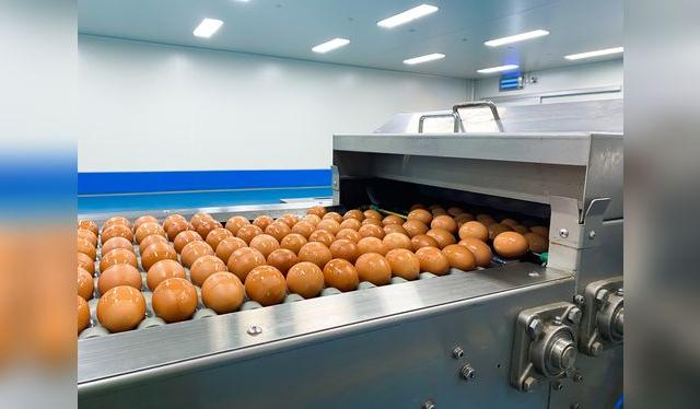 Esta máquina se encarga de limpiarlos y aplicar una película protectora. Esta máquina se encarga de limpiarlos y aplicar una película protectora.