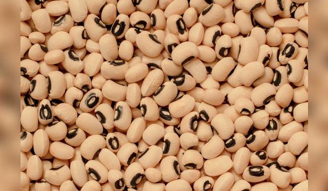 Inconfundible, con su manchita negra, este frejol que no es frejol es típico en algunas recetas regionales. Inconfundible, con su manchita negra, este frejol que no es frejol es típico en algunas recetas regionales.