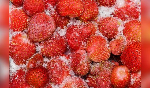 Algunos cortan los tallos y hojas para congelar, pero no es una práctica recomendable. 