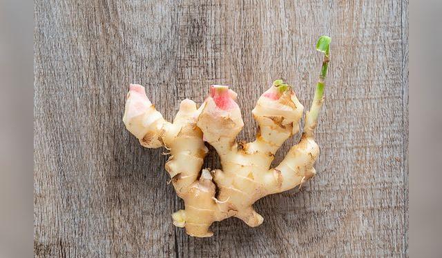 Obtener un brote de kion es el primer paso para cultivarlo en casa. Obtener un brote de kion es el primer paso para cultivarlo en casa.