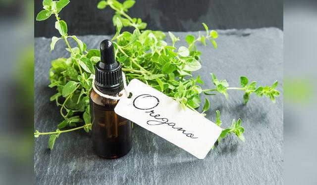 Los aceites esenciales de orégano tienen propiedades medicinales. Su uso debe ser bajo control médico.    