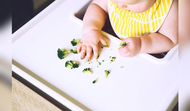 Desde los seis meses, los bebés ya están listos para sus primeros alimentos sólidos. Desde los seis meses, los bebés ya están listos para sus primeros alimentos sólidos.