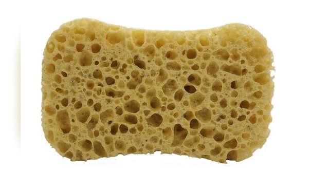 Los restos de comida y la humedad son las causas de la contaminación de las esponjas y trapos. Los restos de comida y la humedad son las causas de la contaminación de las esponjas y trapos.