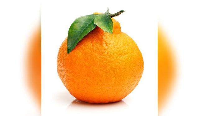 Es fácilmente reconocible por su color, su cáscara brillante y el bulto en la parte superior.   