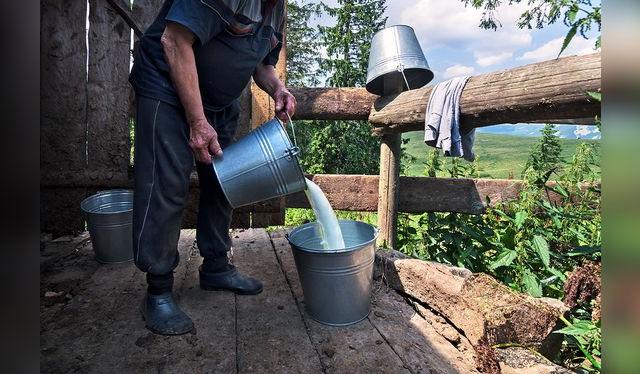 La leche cruda se puede contaminar en varias partes de su cadena. La leche cruda se puede contaminar en varias partes de su cadena.