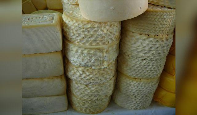 Los paria son típicos del sur andino. Los paria son típicos del sur andino.