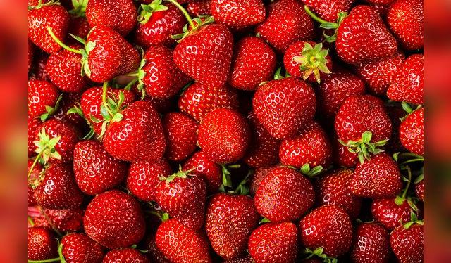 Limpiar y cortar las fresas para eliminar la ramita y las partes malogradas.   