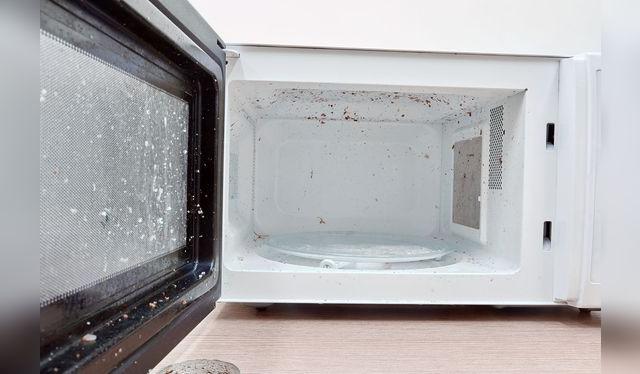 La acumulación de grasa y suciedad puede dañar el micrrondas.    