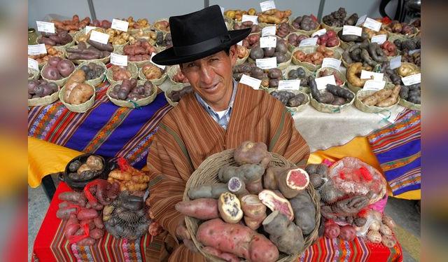 Los agricultores son también guardianes de la biodiversidad, cultivando cientos de variedades de papas.    