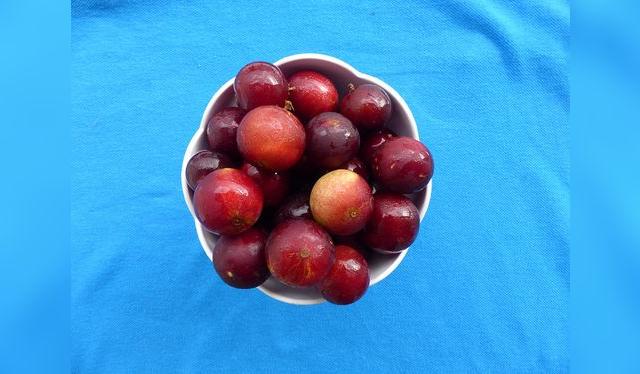 El camu camu es una de las joyas de la Amazonía.   