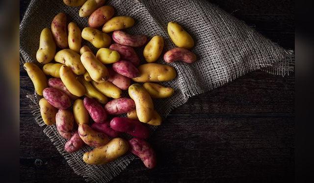 Los hay de diversos tamaños, formas y colores, y cada uno tiene valores nutricionales ligeramente distintos.   