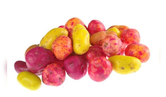 Los más comunes son los ollucos amarillos.   