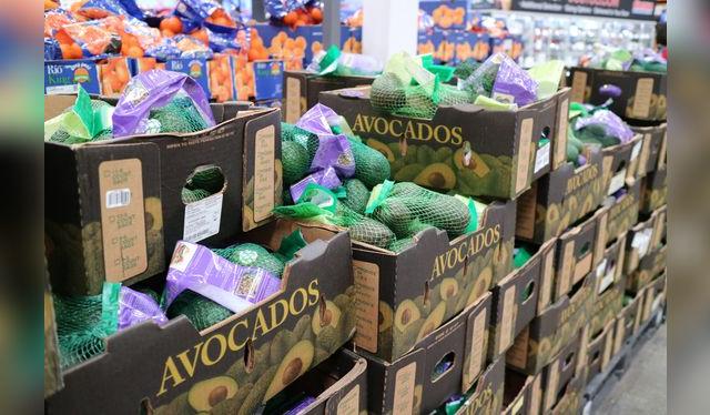 Avocado es otra forma de llamar a las paltas en Estados Unidos.    
