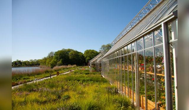 El Noma (Dinamarca) tiene dos estrellas, aunque es considerado por la lista de las 50 Best como el Mejor del Mundo este año. El Noma (Dinamarca) tiene dos estrellas, aunque es considerado por la lista de las 50 Best como el Mejor del Mundo este año.