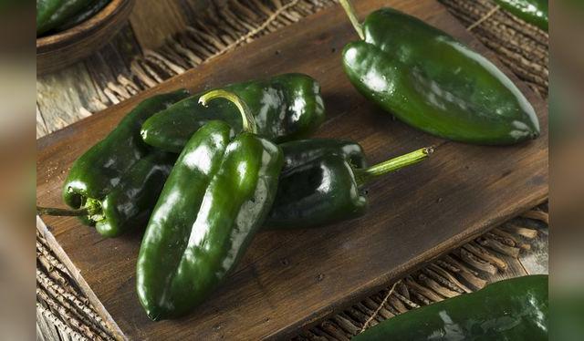 Los chiles poblanos se pueden preparar rellenos o en guisos. Los chiles poblanos se pueden preparar rellenos o en guisos.