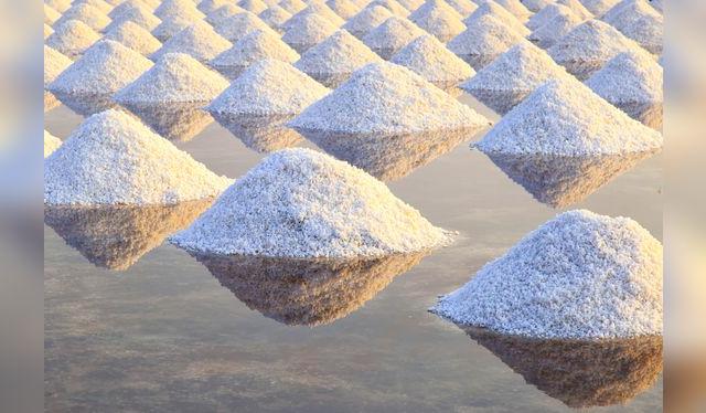Los productores de sal deben incorporar yodo en sus proceso de elaboración.   