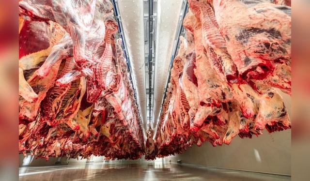 La crianza y forma de consumo de la carne en la actualidad es muy cuestionada.    