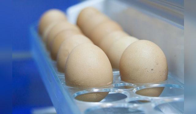 Lo huevos son un alimento rico en nutrientes y de fácil acceso. Lo huevos son un alimento rico en nutrientes y de fácil acceso.