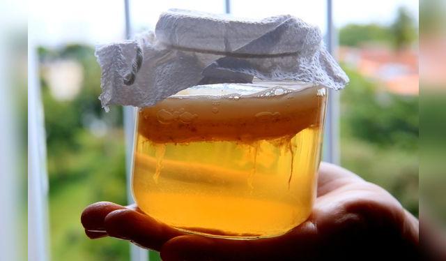 Al igual que el scoby, la madre de vinagre es como una nata gelatinosa que se forma en el vino fermentado.   