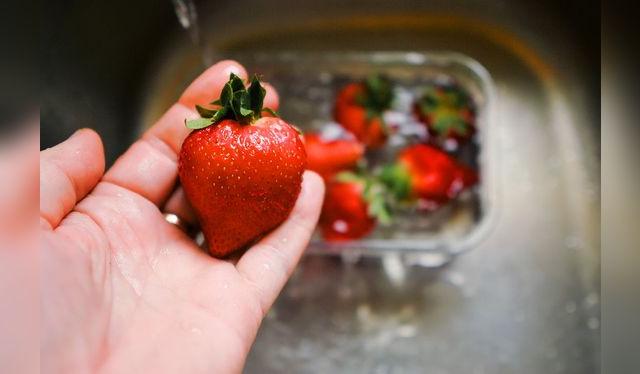 No las guardes húmedas, ya que la humedad las puede dañar y favorecen la presencia de bacterias.    