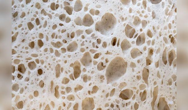 En estos alveolos se encapsula el CO2, que es lo que hace que la masa se infle.   