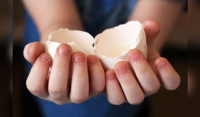 Aprender a cascar los huevos toma tiempo, pero se aprende rápidamente. Aprender a cascar los huevos toma tiempo, pero se aprende rápidamente.