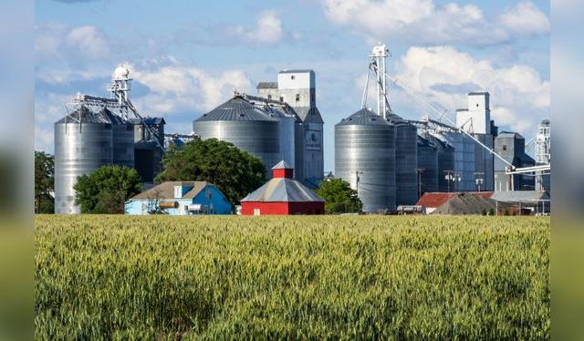 Han habido casos de silos, elevadores y molinos que han explotado por estos casos.    