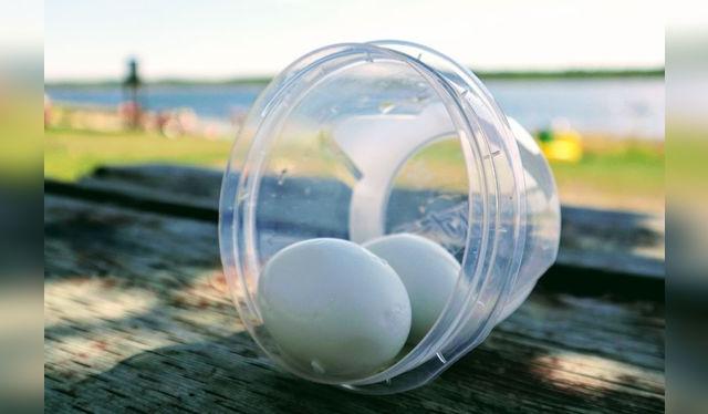 Nunca dejes los huevos cocidos más de dos horas sin refrigerar.   