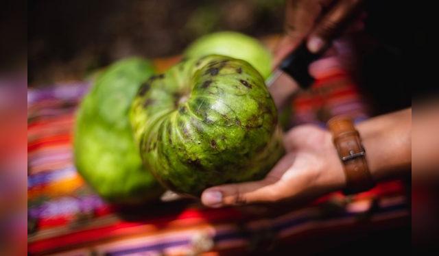 Los orificios se encuentran en la superficie.    