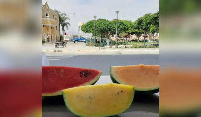 Tres variedades: roja y naranja arriba, y amarilla abajo. Todas pueden ser dulces   