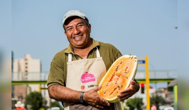 Francisco Ojeda es un productor de sandías que nos revela sus secretos.   
