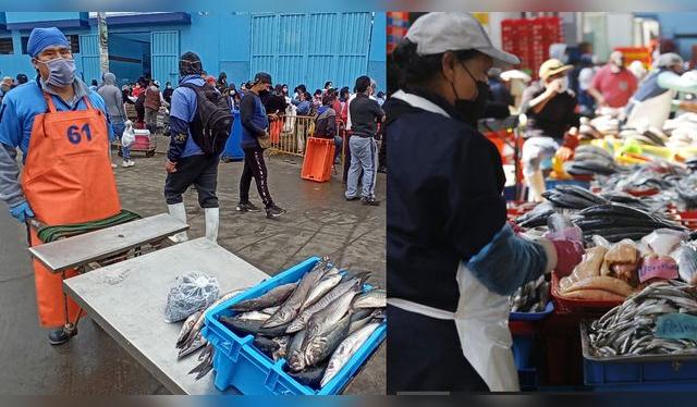 Los terminales de Lima y Callao siguen funcionando con normalidad.    