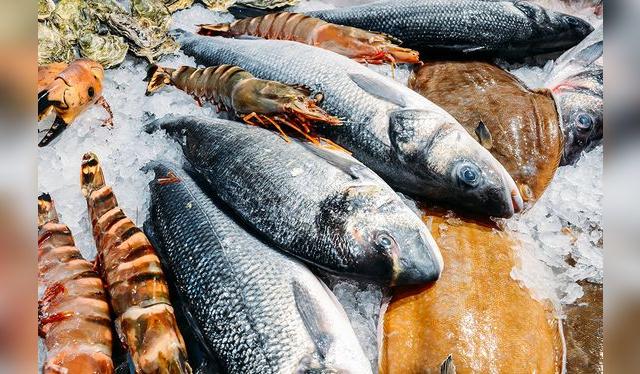 Los pescados y mariscos deben mantenerse refrigerados para evitar problemas de salud.   