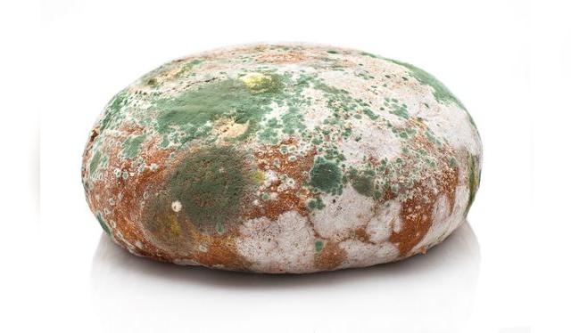 El pan, sobre todo el artesanal, tiene poco tiempo de vida. El pan, sobre todo el artesanal, tiene poco tiempo de vida.